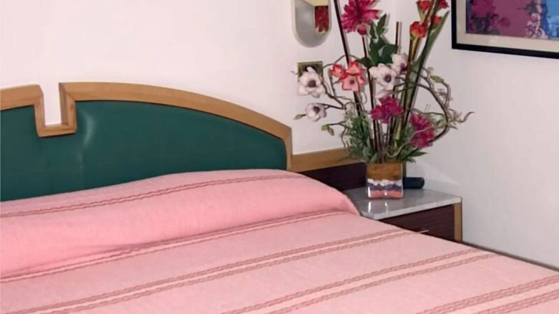 Hotel Artide Rimini Italy